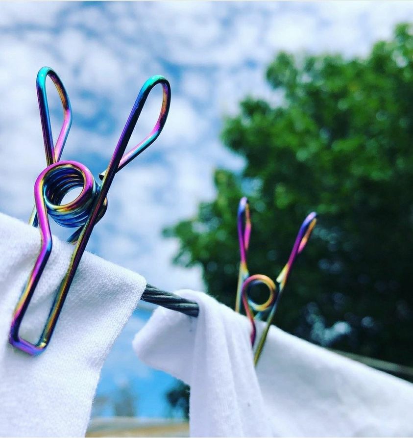 Stainless Steel Large Pegs - Rainbow (50 pack)