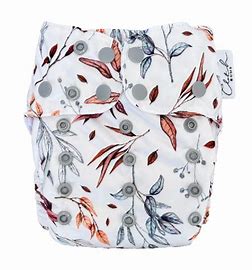 Pixie Cloth Nappy with Hemp Duo