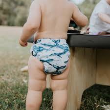 Gremlin Pull Up Cloth Nappy / Training Pant - Shell Only