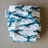 Hydra Swim Nappy