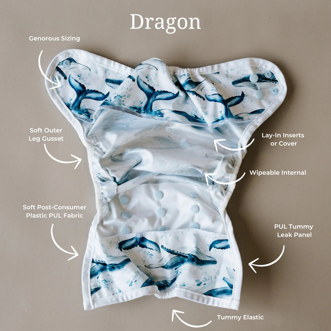 Dragon Wrap