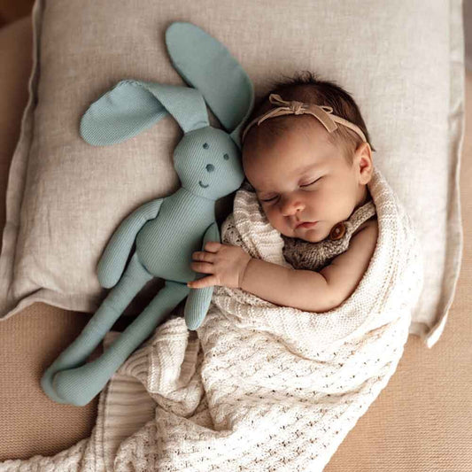 Snuggle Hunny Organic Snuggle Bunny