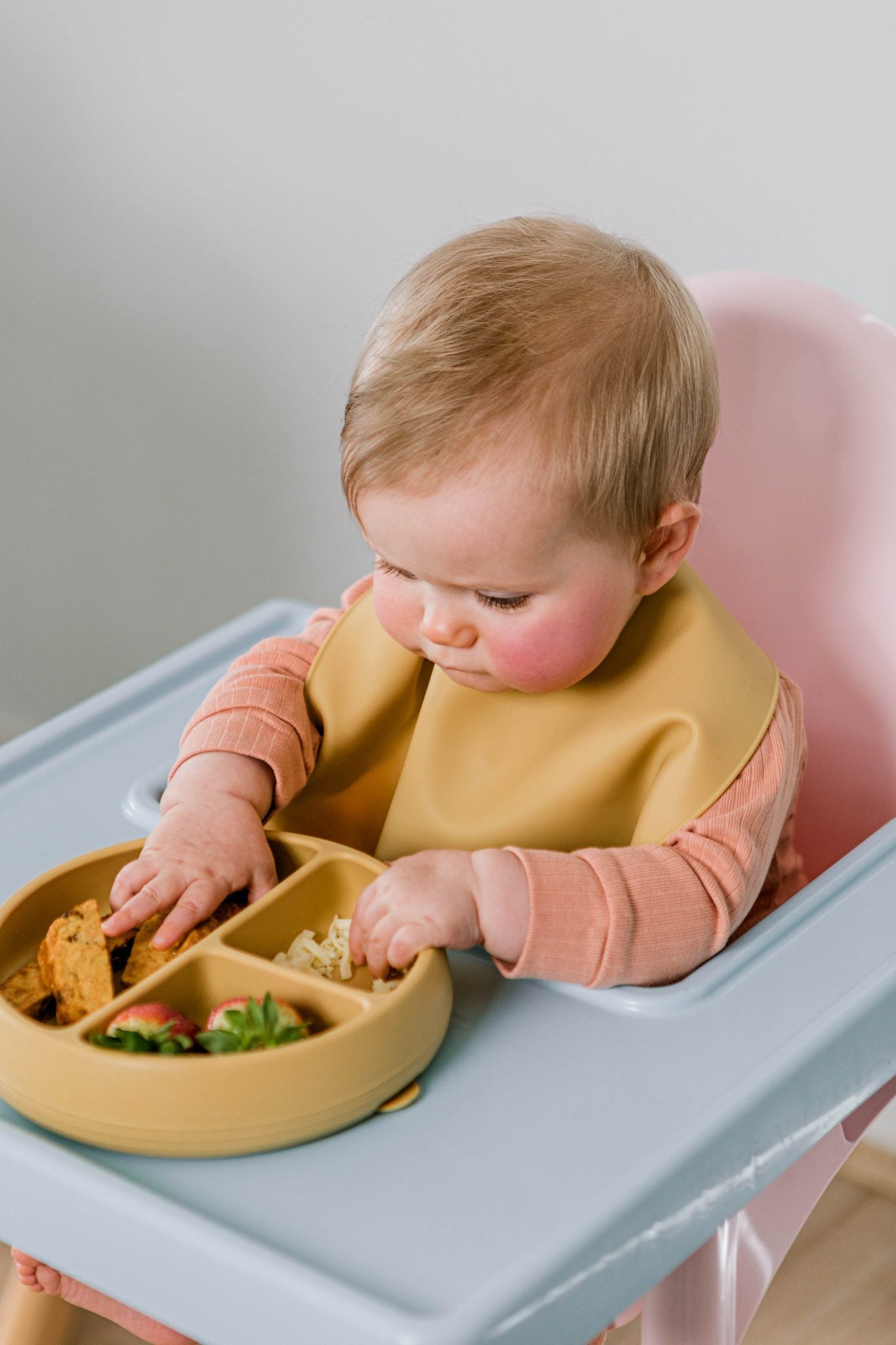 Suckie Scoop Divided Plate